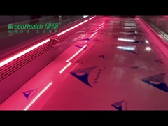 Нержавеющая сталь замораживателя дисплея свежего мяса супермаркета для ресторана