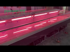 Холодильник мяса гастронома рыб нержавеющей стали свежий для мясной лавки