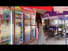 Коммерчески 2 стеклянных двери показывают замораживатель холодильника для холодного напитка напитка