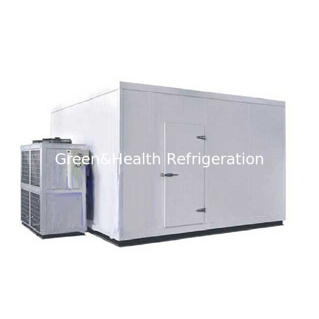 Supermarket Large Commercial Scale Storing Food Products In Frozen Cold Storage Cold Room