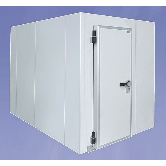 Замороженные продукты комнаты холодильных установок нержавеющей стали -20℃ с дверью качания