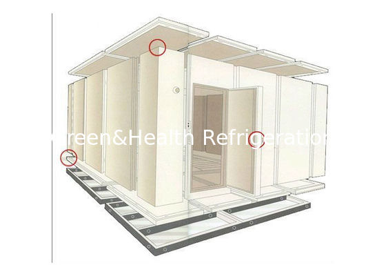 Хранилище Прогулка в холодильнике Хранилище морепродукты Говядина Куриная морозильники ПУ изоляция