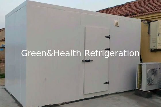 Панель теплоизоляции из пенополиуретана и испаритель воздушного охладителя для морозильной камеры для хранения рыбы для нужд вашего бизнеса