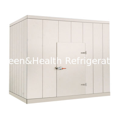 220V / коммерчески прогулка 380В в более Чиллер комнате для Вегетабле морепродуктов мяса