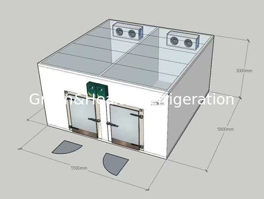 Прогулка в охладителях двойной температуры замораживателя комбинированных/холодной комнате