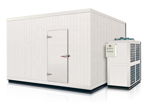 Большой склад холодильных установок охладителя холодной комнаты размера подгонял размер для замороженных продуктов